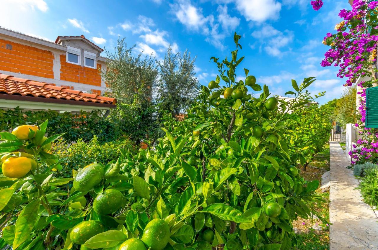 Apartments Mate Trogir Ngoại thất bức ảnh